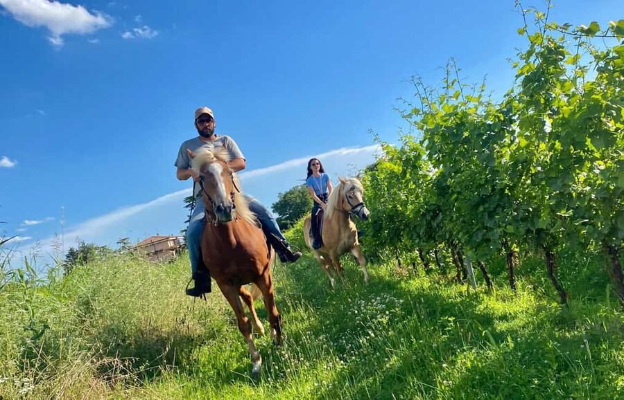Lake Garda: 2 hours Horseback Ride in the Countryside - Who Should Book This Experience