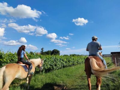 Lake Garda: 2 hours Horseback Ride in the Countryside