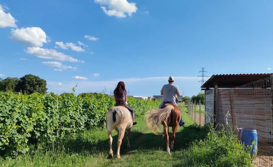Lake Garda: 2 hours Horseback Ride in the Countryside - Practical Tips for a Better Ride