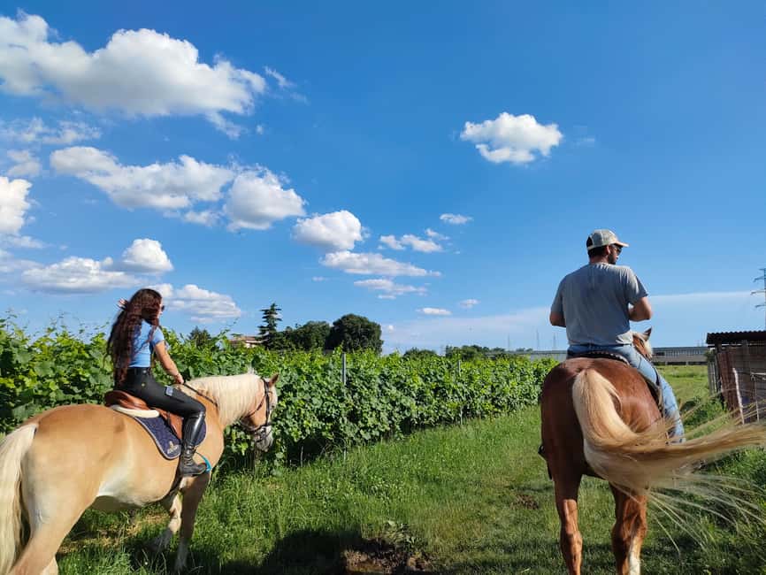 Lake Garda: 2 hours Horseback Ride in the Countryside - How the $93 Price Holds Up