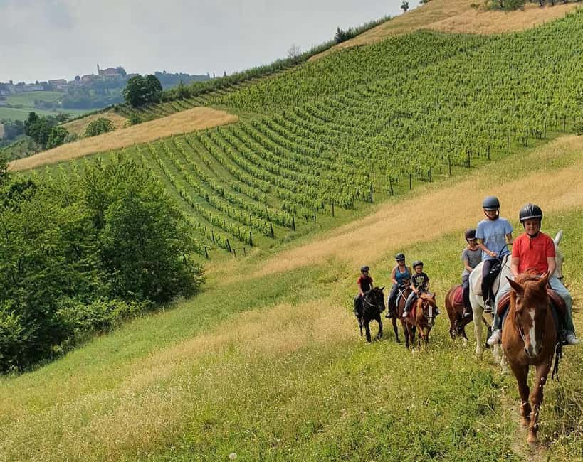 Langhe: Horse Riding in the Vineyards - What the ride through the vineyards is like