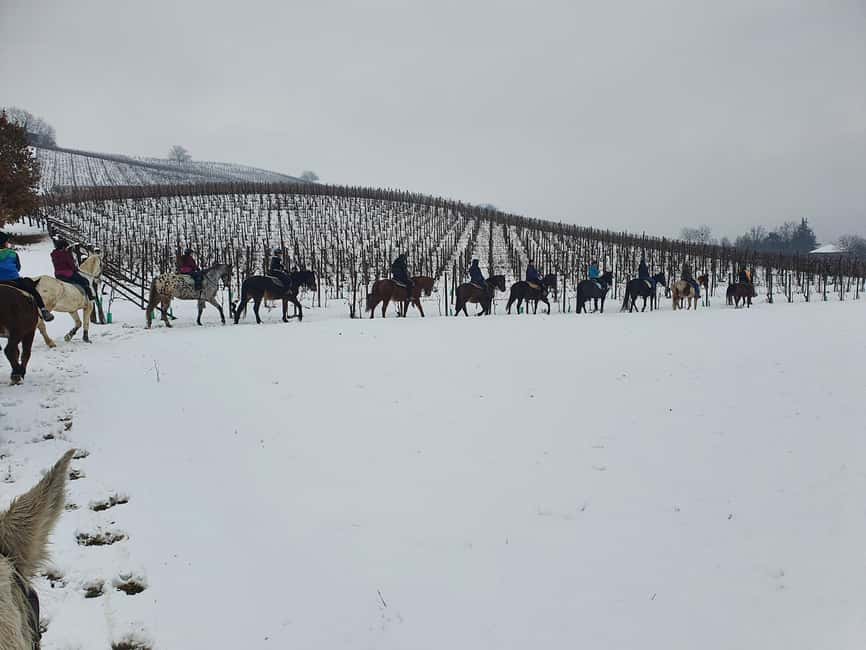 Langhe: Horse Riding in the Vineyards - What to wear for a comfortable saddle