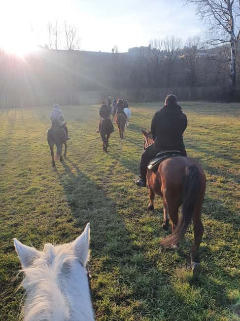 Langhe: Horse Riding in the Vineyards - What the strongest praise tells you