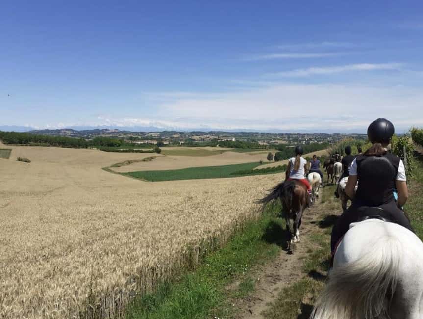 Langhe: Horse Riding in the Vineyards - Choosing between one hour and two