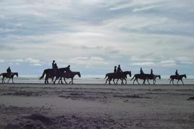 Las cañadas ecopark and horseback riding private tour