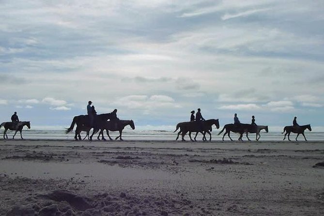 Las cañadas ecopark and horseback riding private tour - Beach horseback riding, with practical cautions
