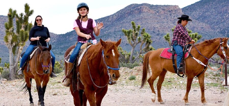 Las Vegas: Grand Canyon Ranch Tour with Horseback/Wagon Ride - Meeting the buffalo at Buffalo Point