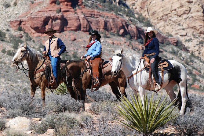 Las Vegas Horseback Ride with Meal - Who should book this ride