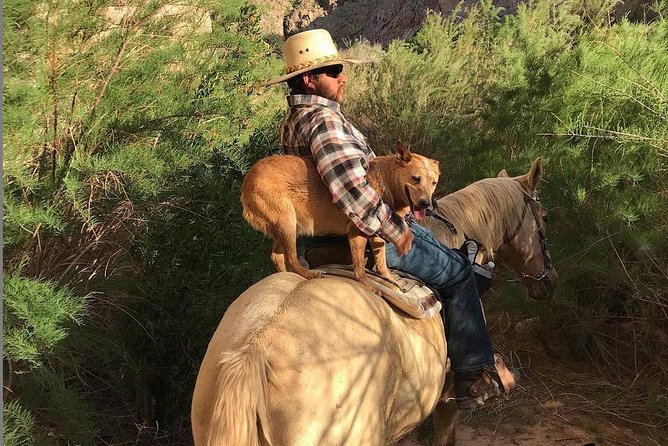 Las Vegas Horseback Ride with Meal - Meeting a calm horse and getting settled