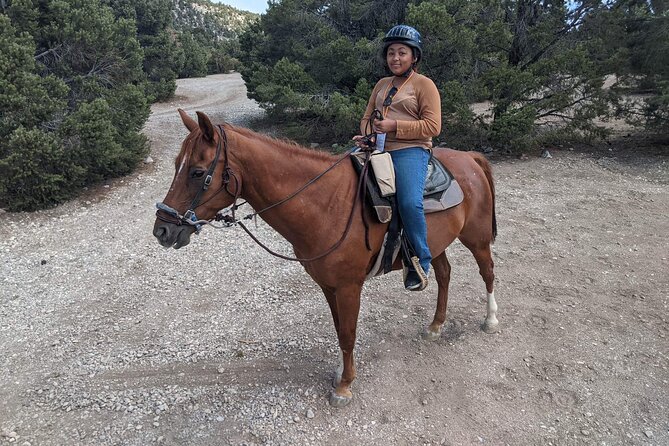 Las Vegas Horseback Riding Adventure - Is $85 a Fair Price?