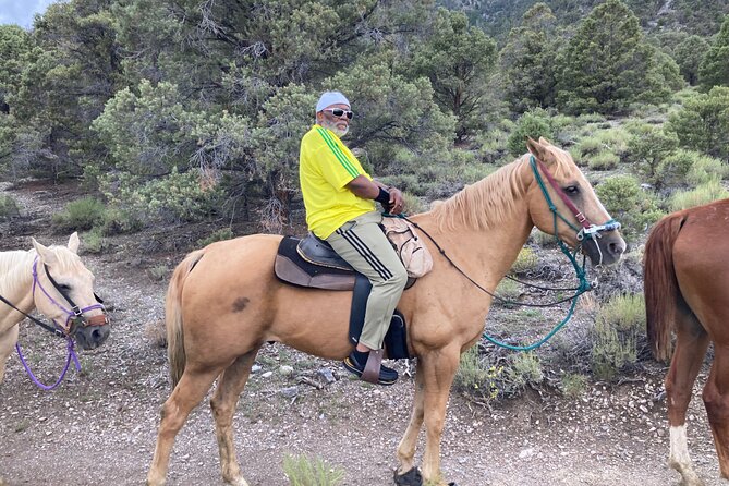 Las Vegas Horseback Riding Adventure - The Desert Route and Seasonal Changes