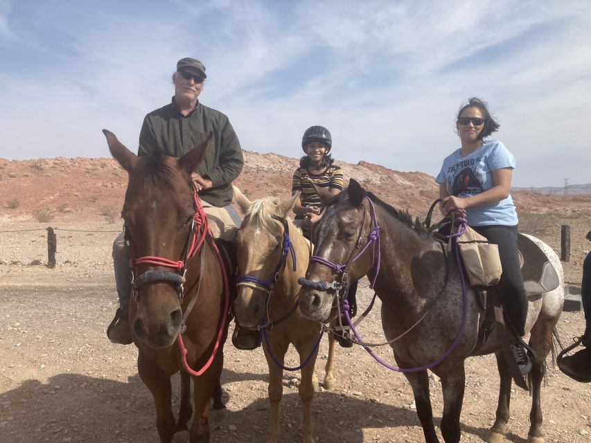 Las Vegas: Horseback Riding Tour - Meeting the horses and finding your pace