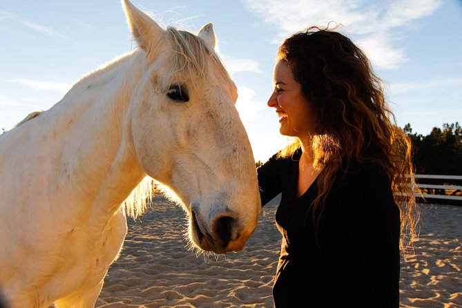Leadership & Mindfulness Retreat with Horses - Individual & Group - Key points to know before booking