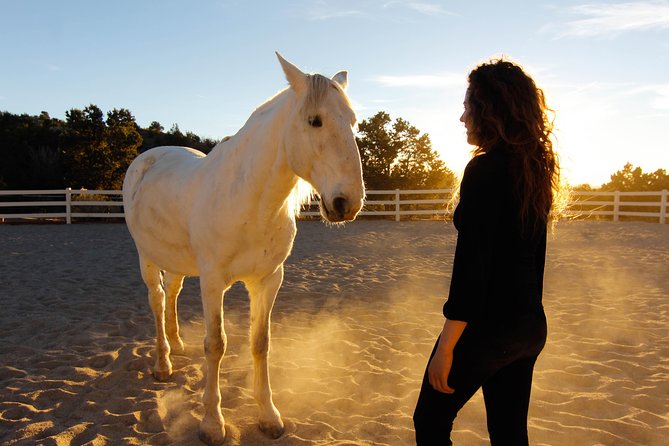 Leadership & Mindfulness Retreat with Horses - Individual & Group - A horse retreat with a different kind of itinerary