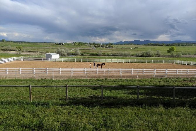 Leadership & Mindfulness Retreat with Horses - Individual & Group - What the horses add to the coaching