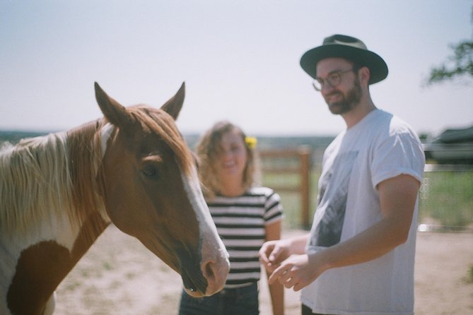 Leadership & Mindfulness Retreat with Horses - Individual & Group - A good choice for nervous beginners