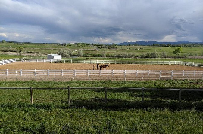 Leadership & Mindfulness Retreat with Horses - Individual & Group - Why families may find it worthwhile