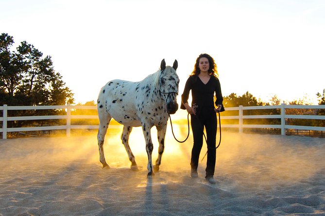 Leadership & Mindfulness Retreat with Horses - Individual & Group - How the 90-minute session unfolds