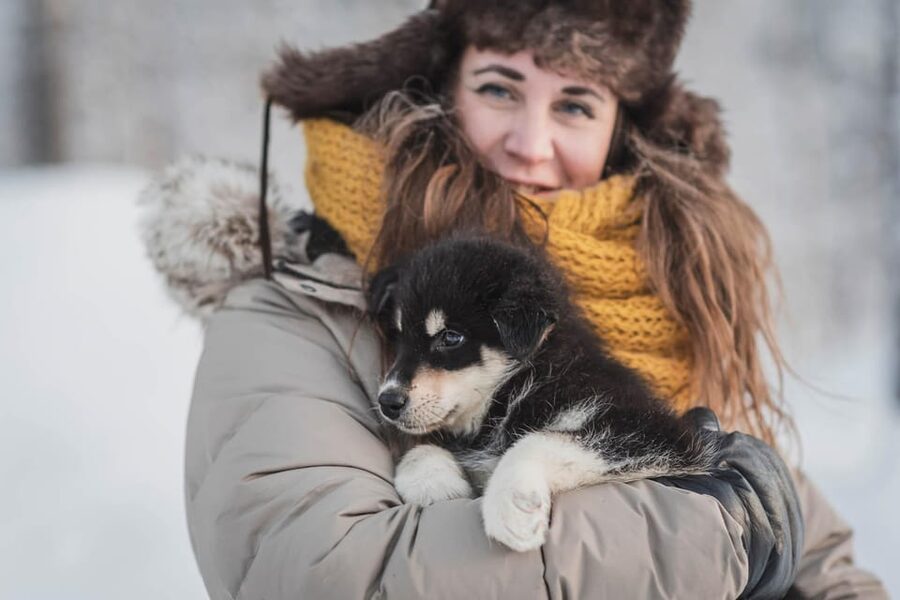 Levi: Horse and Husky Farm Visit with Juice and Cookies - Key points at a glance