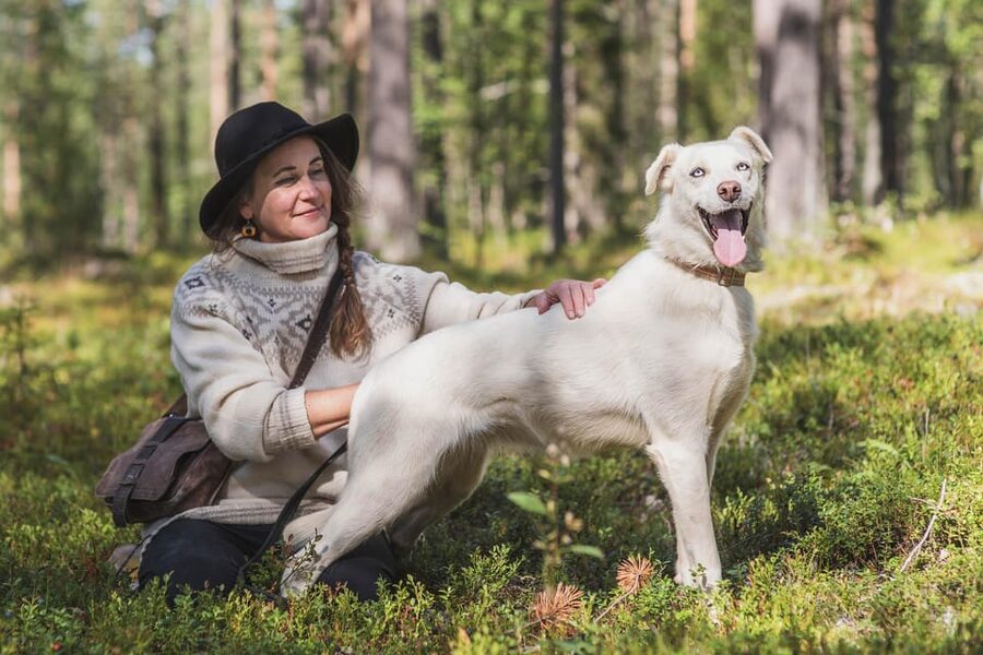 Levi: Horse and Husky Farm Visit with Juice and Cookies - What this farm visit is really like