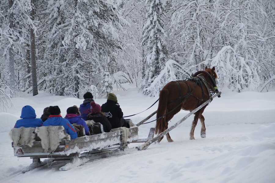 Levi, Polar Lights Tours: One Horse Open Sleigh Ride - Key points to know before booking