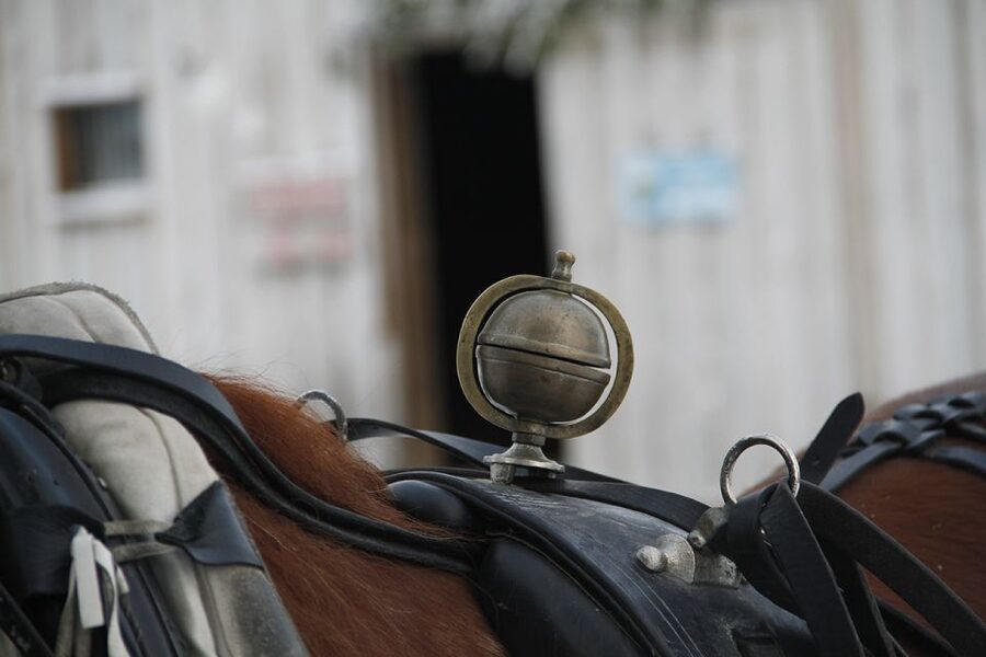 Levi, Polar Lights Tours: One Horse Open Sleigh Ride - A quiet way to meet Lapland after dark
