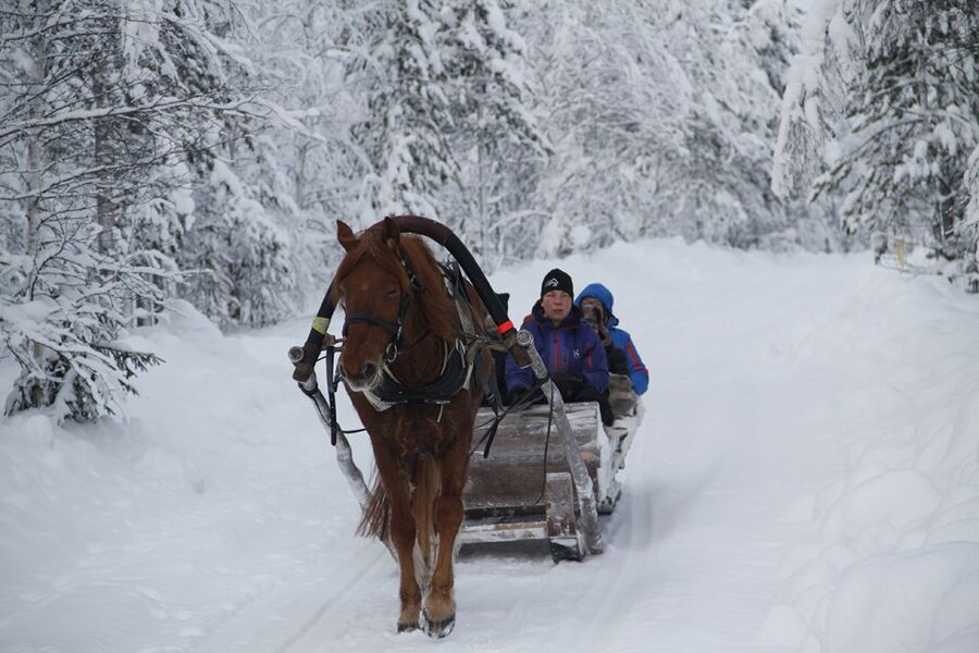 Levi, Polar Lights Tours: One Horse Open Sleigh Ride - The short transfer and safety briefing