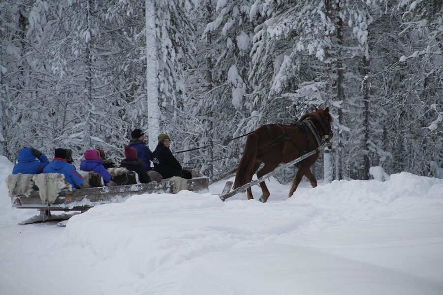 Levi, Polar Lights Tours: One Horse Open Sleigh Ride - What the $79 price gives you