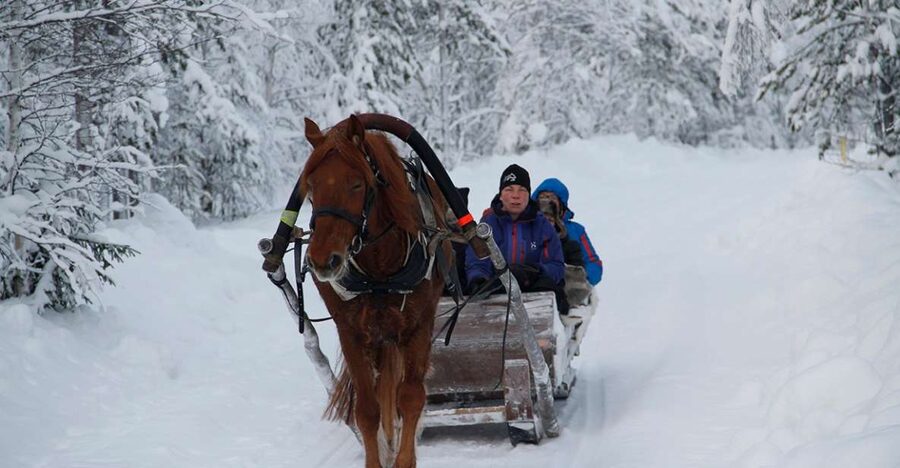 Levi, Polar Lights Tours: One Horse Open Sleigh Ride - Meeting at Hissitie 11 in Levi