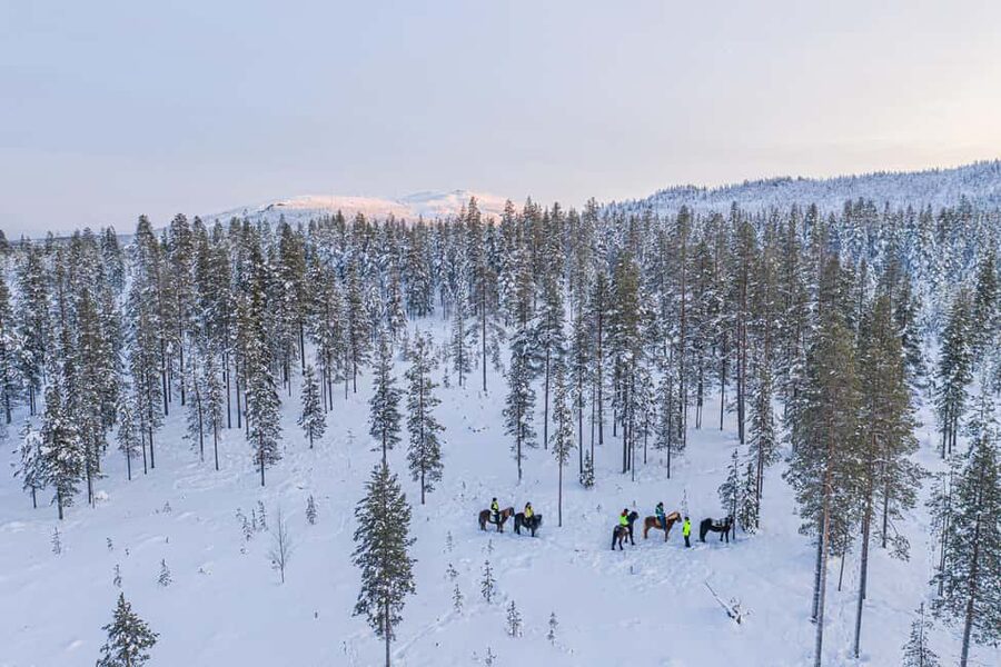 Levi: Riding Trek with Icelandic Horses - Starting at Lapland Saga or Design Hotel Levi