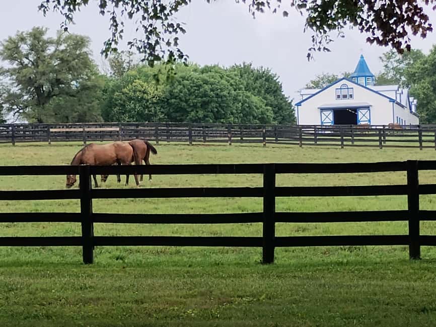 Lexington: Thoroughbred Horse Farm Tour and Scenic Bluegrass - Key points to know before you book