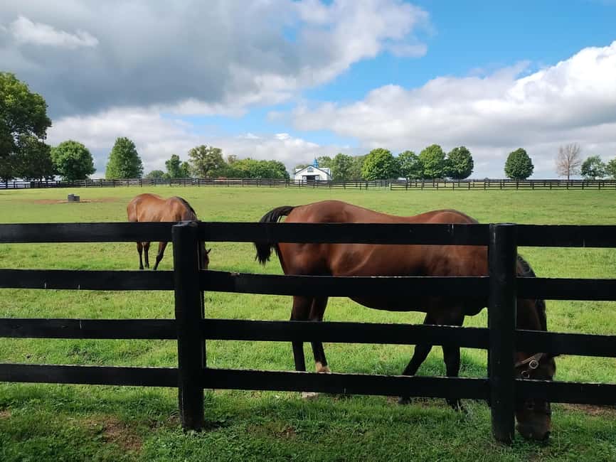 Lexington: Thoroughbred Horse Farm Tour and Scenic Bluegrass - Who should book this Lexington tour?
