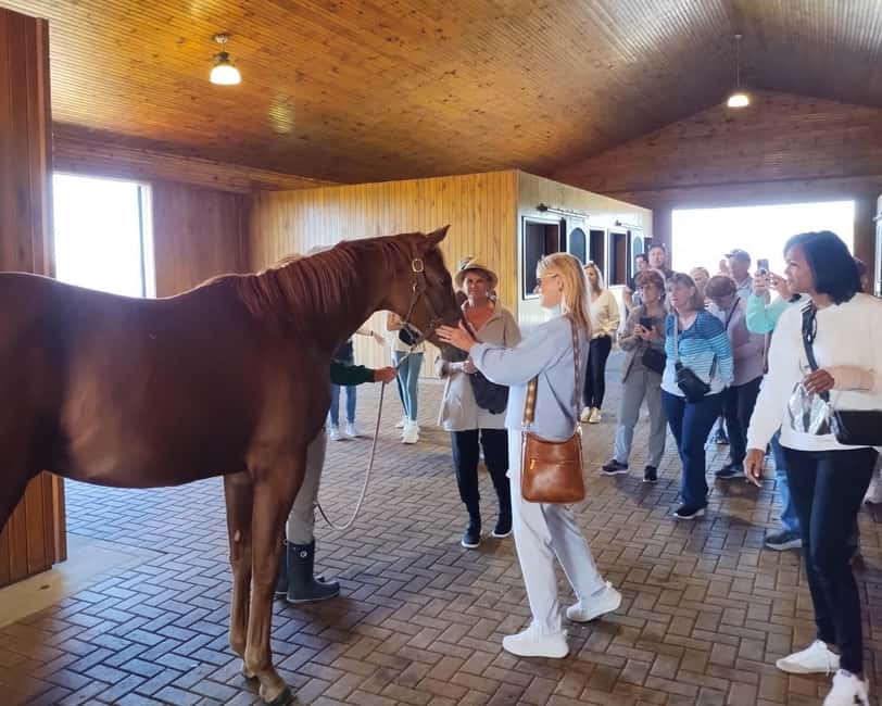 Lexington: Thoroughbred Horse Farm Tour and Scenic Bluegrass - Why Lexington’s horse country is worth your morning