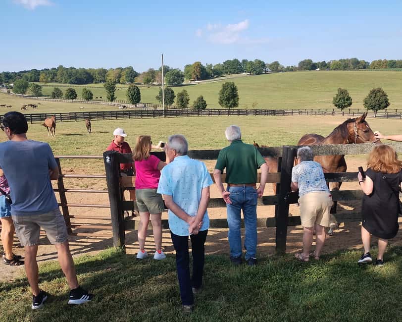 Lexington: Thoroughbred Horse Farm Tour and Scenic Bluegrass - Riding through Lexington’s Thoroughbred country