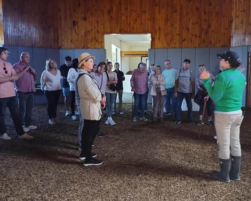 Lexington: Thoroughbred Horse Farm Tour and Scenic Bluegrass - Visiting the farms and meeting the horses