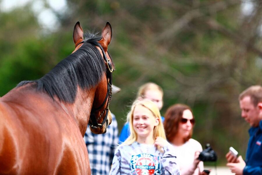 Lexington: Thoroughbred Horse Farm Tour and Scenic Bluegrass - What $45 gets you, and what it does not