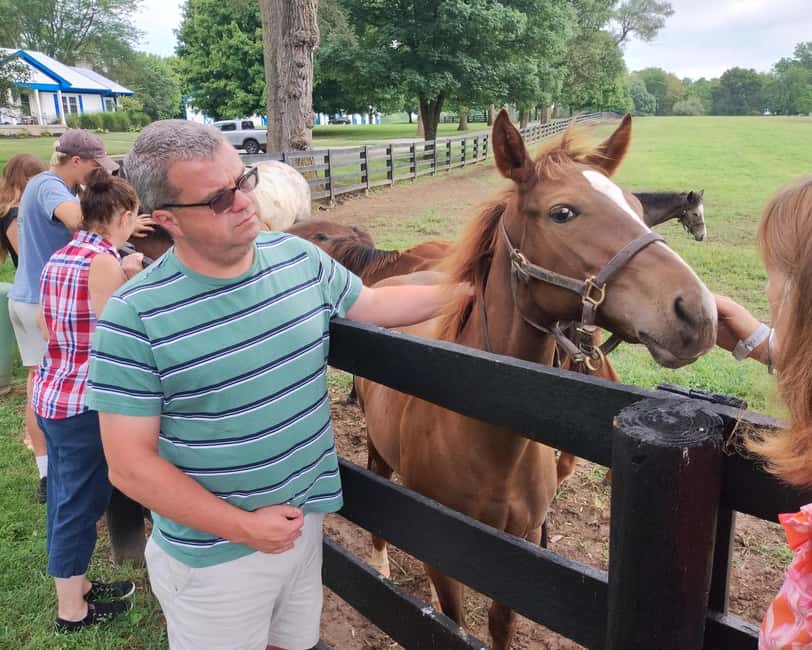 Lexington: Thoroughbred Horse Farm Tour and Scenic Bluegrass - Starting at the Waller Avenue visitors center