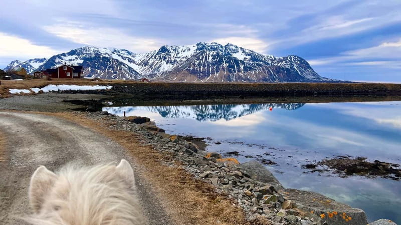 Lofoten: Guided Horse Riding Tour Over Hov and Hovsund - What makes this ride special