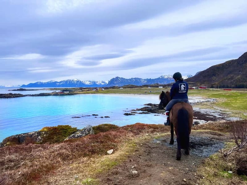 Lofoten: Guided Horse Riding Tour Over Hov and Hovsund - Meeting the horses at Hov Gård