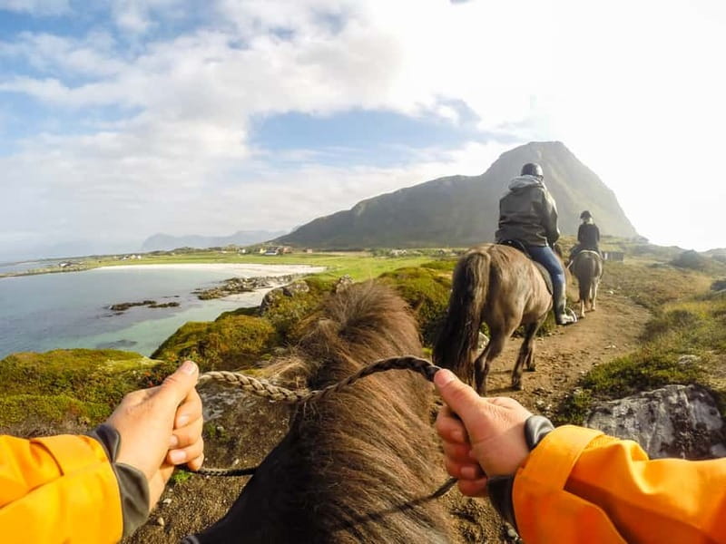 Lofoten: Guided Horse Riding Tour Over Hov and Hovsund - Looking for sea eagles and summer bird life