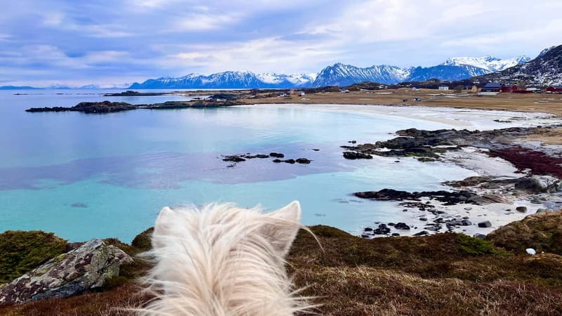Lofoten: Guided Horse Riding Tour Over Hov and Hovsund - Ancient Viking traces beside the trail