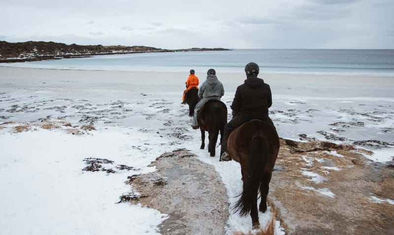 Lofoten: Guided Horse Riding Tour Over Hov and Hovsund - The guides make the difference