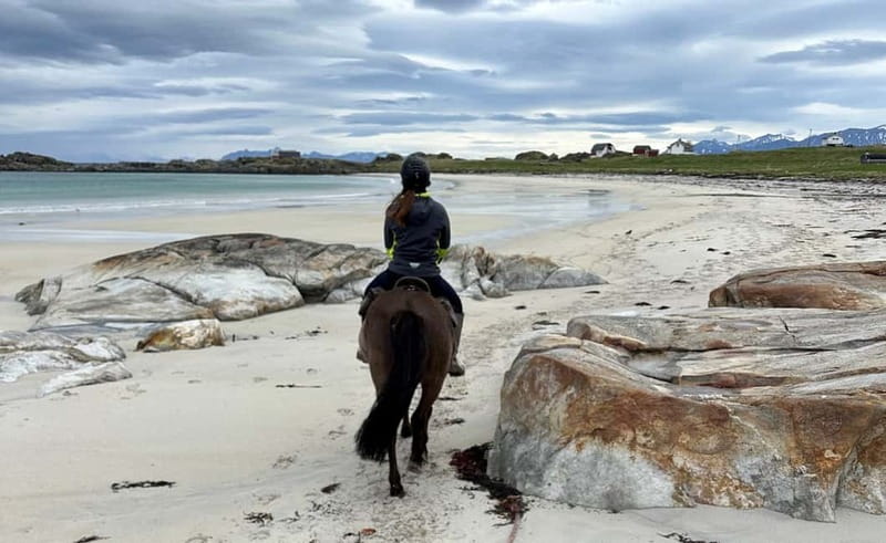 Lofoten: Guided Horse Riding Tour Over Hov and Hovsund - Is $145 a fair price?