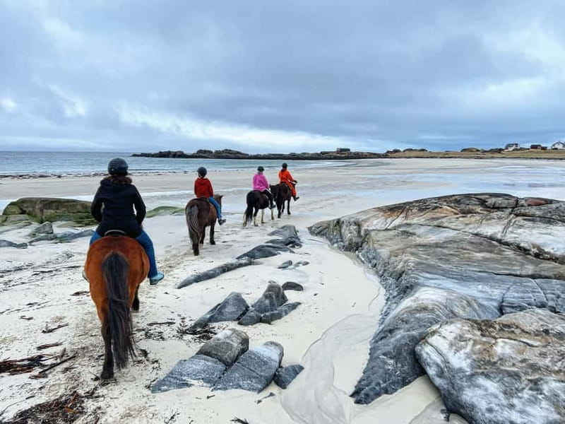 Lofoten: Guided Horse Riding Tour Over Hov and Hovsund - Crossing Hov Beach at a calm pace