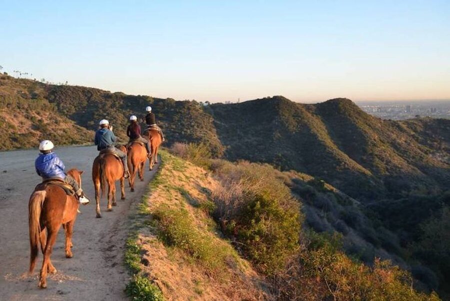 Los Angeles: 2-Hour Hollywood Trail Horseback Riding Tour - Starting at Sunset Ranch above Beachwood Drive