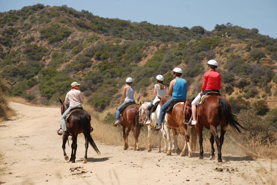 Los Angeles: 2-Hour Hollywood Trail Horseback Riding Tour - Riding into the Griffith Park hills