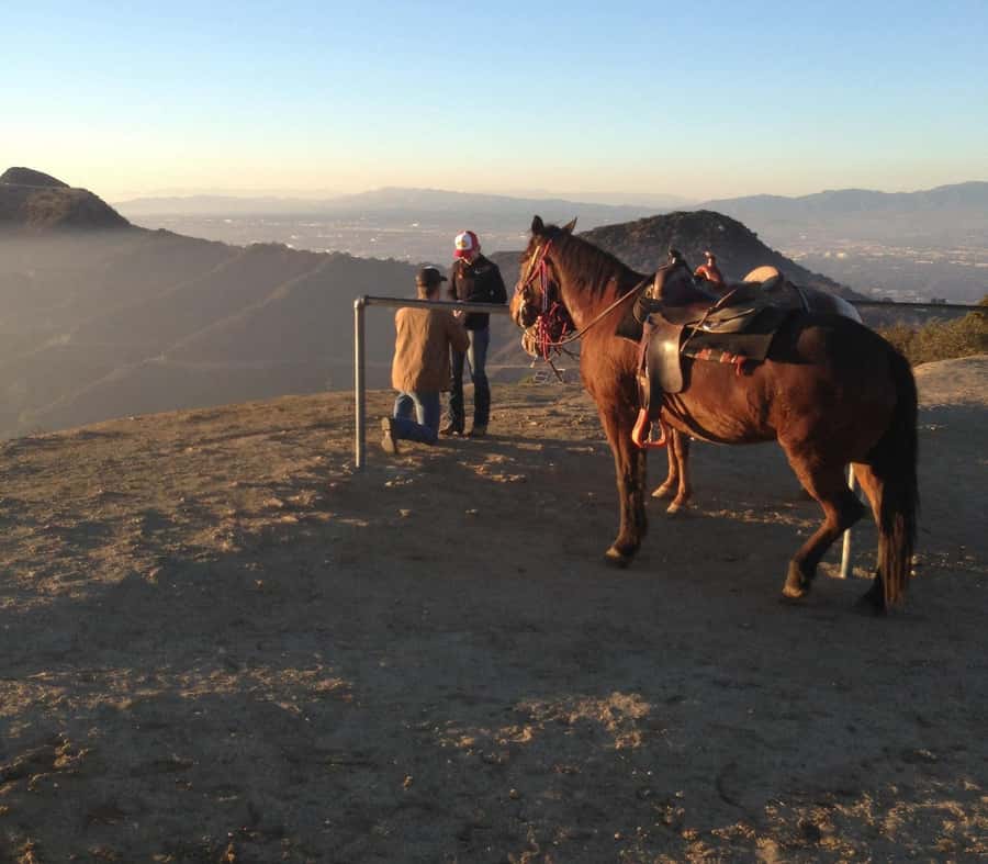 Los Angeles: Evening 2-Hour Hollywood Horseback Riding Tour - Key Points to Know Before You Ride