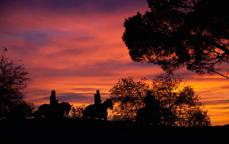Los Angeles: Evening 2-Hour Hollywood Horseback Riding Tour - Riding Through Griffith Park’s 5,000 Acres
