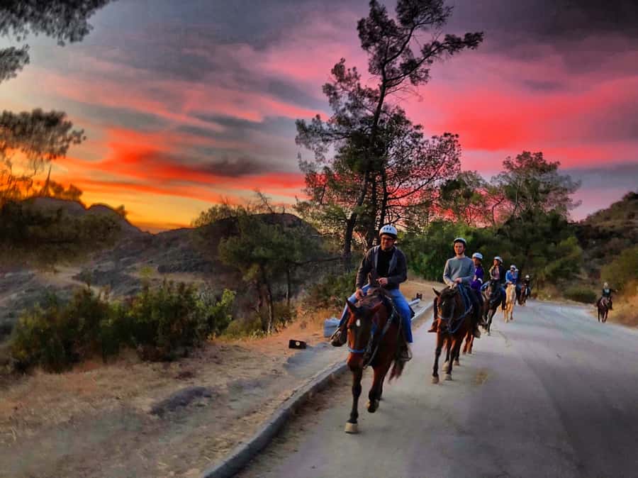 Los Angeles: Evening 2-Hour Hollywood Horseback Riding Tour - Meeting the Horses Before the Trail