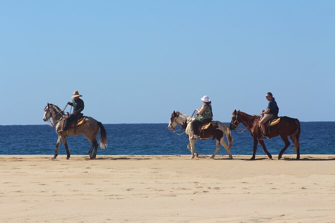 Los Cabos ATV and Pacific Horseback Riding Combo Tour - The ATV ride through cactus and canyon trails
